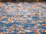 Buy A Sea Full of Swimmers Competing in the Ironman Triathlon at AllPosters.com