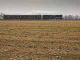 Polish State Railways Steam Locomotive Ol 49-59 Passing a Field