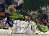 Young Men Perform a Dragon Dance with Zest