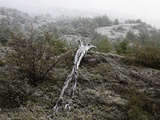 Buy Snowfall on Cerro Ferrier in Torres Del Paine National Park at AllPosters.com