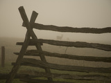 Morning Fog and a Civil War Split-Rail Fence Frame Wild Deer Photographic Print