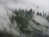 Fog Settles over Yosemite Valley
