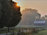Buy Filtered Sunlight in the Maple Grove Road Rural Historic District at AllPosters.com