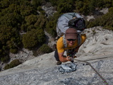 Buy A Climber Ascends Fixed Ropes to Sickle Ledge on El Capitan at AllPosters.com