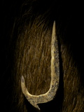 Buy A Fish Hook Made of Bone from Catalhoyuk at AllPosters.com
