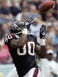 Texans Titans Football: Nashville, TN - Andre Johnson
