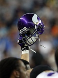 Vikings Lions Football: Detroit, MI - Viking Pride