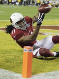 Super Bowl XLIII Football: Tampa, FLORIDA - Larry Fitzgerald