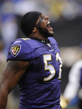 Broncos Ravens Football: Baltimore, MD - Ray Lewis