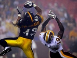 Steelers Redskins Football: Landover, MD - Troy Polamalu