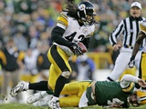 STEELERS PACKERS: GREEN BAY, WISCONSIN - Troy Polamalu