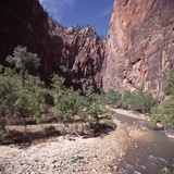 Zion National Park, Utah, USA