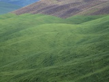 Landscape in the Tuscanny Photographic Print
