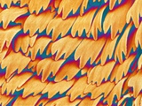 Buy Scales of a Swallowtail Butterfly at AllPosters.com