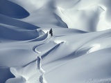 Snowboarder Riding in Powder Snow, Austria, Europe