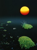 Buy Sun over black lava, Iceland at AllPosters.com