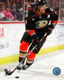 Teemu Selanne 2011-12 Action