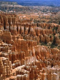 USA, Utah, Bryce Canyon