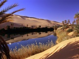 Buy Oasis at Um Al Ma salt lake, Sahara desert, Ubari, Libya at AllPosters.com