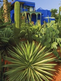 Majorelle Gardens in Marrakech