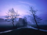 Misty River and Forest at Dusk, Baden-Wuerttemberg, Germany