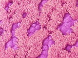 Trachea of a Rat