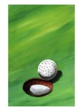 Hole in One