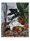 Aspidistra