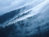 Buy Fog in the Smokey Mountains at AllPosters.com