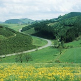Buy Landscape and country road in the Sauerland, Germany at AllPosters.com