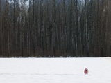 Buy Football in Snow Covered Field at AllPosters.com