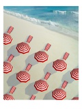 Deckchairs and sunshades in a raw at beach