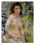 Study: Torso, Effect of Sunlight