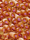Sperm in Testis of a Rat