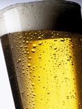 Pint of Cold Lager Beer with Foam Head
