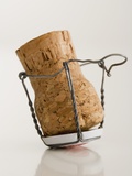 Champagne Cork