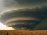 Supercell and Wheat Field