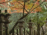 Buy Lanterns at Kasuga Taishi Shine at AllPosters.com