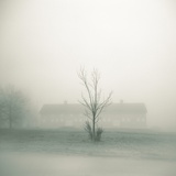 Foggy Morning Scene with Barn