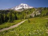Buy Mount Rainier National Park at AllPosters.com