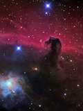 Horsehead Nebula
