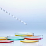 Buy Petri Dishes at AllPosters.com