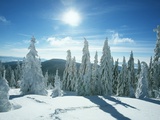 Buy Beautiful winter scene at AllPosters.com