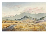 Buy Jacksonville Road at AllPosters.com
