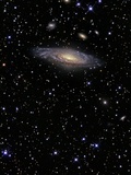 Buy Pegasus Constellation at AllPosters.com