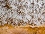 Buy Popcorn Cave Formations at AllPosters.com