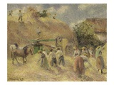 The Harvest