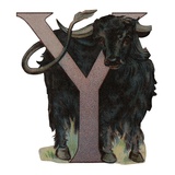 Buy Y Is For Yak at AllPosters.com