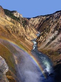 Buy Rainbow over Lower Yellowstone Falls at AllPosters.com