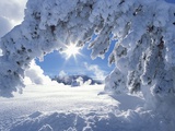 Snowy Landscape in Yellowstone